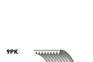 Pasek Wielorowkowy (9pk1425) Gates