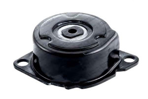 Napinacz Paska Wielorowkowego Bmw 3 (e46) 5 (e60)