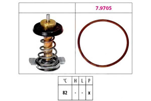 Termostat Facet 504013931 504017209 504387382 5041