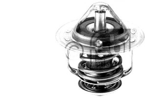 Termostat (76c) Nissan 200 Sx Almera I Pick Up Pra
