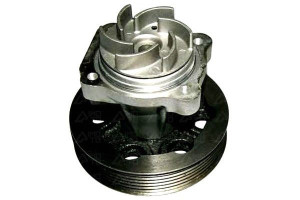 Pompa Wody Denckermann 1741085 46819138 71745026