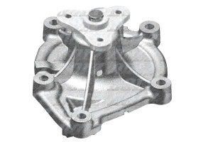 Pompa Wody Citroen Peugeot Dolz