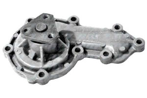 Pompa Wody Land Rover Dolz