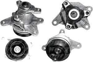 Pompa Wody Renault Dolz