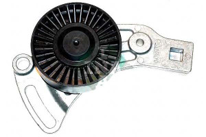 Rolka Paska Wielorowk. Chrysler 300c M 2,7 98- Ina