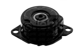 Napinacz Paska Wielorowkowego Bmw 3 (e46) 5 (e60)