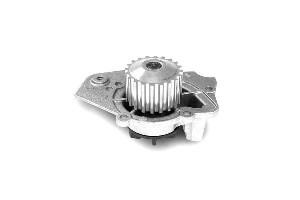 Pompa Wody Citroen Bx C15 Visa Zx Peugeot 205 I 20