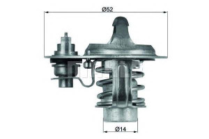 Termostat [behr]