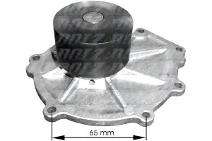 Pompa Wody Rover Dolz