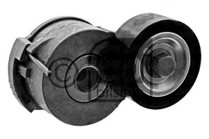 Napinacz Paska Klinowego Wiel. Citroen C4 C5 C8 Fo