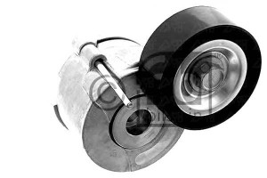Napinacz Paska Wielorowkowego Citroen Nemo Fiat Do