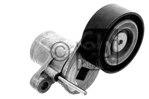Napinacz Paska Wielorowkowego Ford B-max C-max Ii