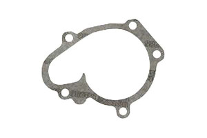 Pompa Wody Metelli 2510002501 2510002500 251000255