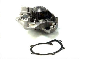 Pompa Wody Citroen Berlingo Evasion Xantia Xm Fiat