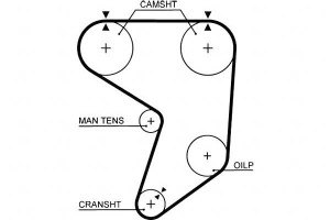Pasek Rozrządu Toyota Supra 3.0 01.86-05.93 Gates