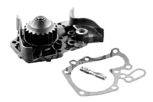 Elektryczna Pompa Wody Renault Clio Ii Kangoo Kang