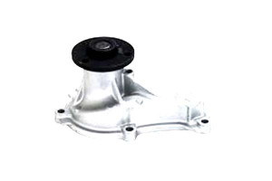 Pompa Wody Metelli 19200rnaa02 19200rnaa01 1755 Wp