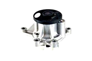 Pompa Wody Metelli 251002b700 251002b710