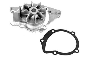 Pompa Wody Fiat Ducato 1,9td Meyle