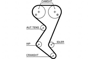 Pasek Rozrządu Citroen C5 I Peugeot 406 2.0 03.01-