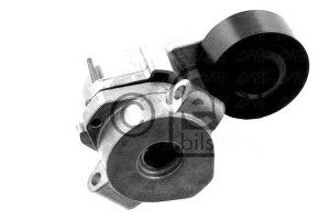 Napinacz Paska Wielorowkowego Fiat Ducato Ford Tou