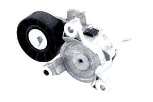 Napinacz Paska Wielorowkowego Citroen C4 C4 Grand