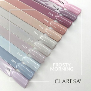 Claresa FROSTY MORNING zestaw KOLEKCJA hybryd 11x