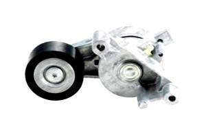 Napinacz Paska Wielorowkowego Audi A3 Seat Altea A