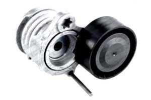 Napinacz Paska Wielorowkowego Bmw 1 (e87) 3 (e90)