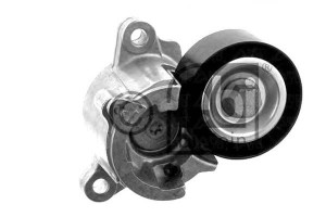Napinacz Paska Wielorowkowego Citroen C4 C4 I Peug