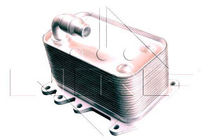 Chłodnica Oleju Bmw 520d 2.0d 10 04-03 10 Nrf