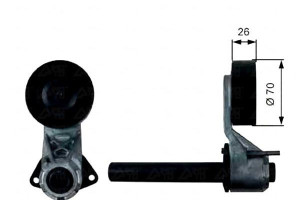 Napinacz Paska Wielorowkowego Bmw X5 (e70) X6 (e71