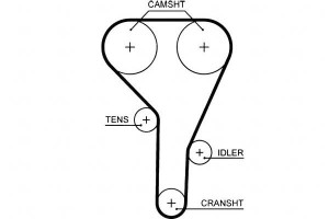 Pasek Rozrządu Mitsubishi Colt Czc Colt Vi Smart F
