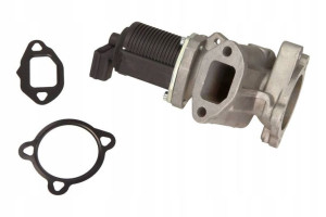 Zawór Egr Opel Maxgear