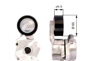 Napinacz Paska Wielorowkowego Citroen Jumper Fiat
