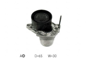 Napinacz Paska Klinowego Wiel. Renault 1,6dci 11-
