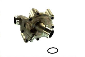 Pompa Wody Mini (r50 R53) (r52) 1.6 03.02-11.07 Th