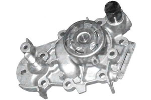 Pompa Wody Renault Dolz