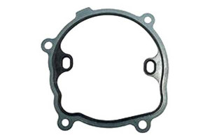 Pompa Wody Renault 2,2dci 00- Graf