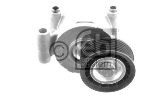 Napinacz Paska Wielorowkowego Volvo C30 S40 Ii V50