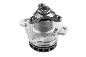 Pompa Wody Renault 2,0dci 05- Meyle