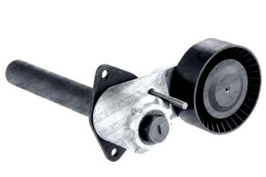 Napinacz Paska Wielorowkowego Bmw X5 (e70) X6 (e71