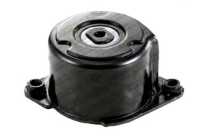 Napinacz Paska Wielorowkowego Bmw 3 (e46) 3 (e90)