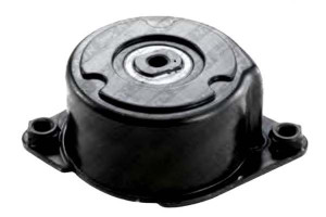 Napinacz Paska Wielorowkowego Bmw 3 (e46) 5 (e39)