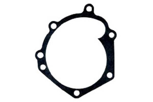 Pompa Wody Citroen Fiat Peugeot Graf
