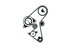 Zestaw Rozrządu Citroen C3 1,4hdi 16v 02- 135z Skf