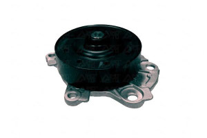 Pompa Wody Airtex 1610009500 1610039465 1610009501