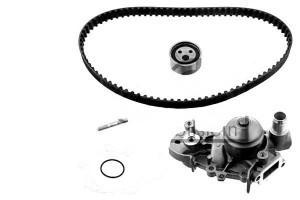 Zestaw Rozrządu Renault Febi Bilstein