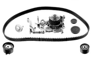 Zestaw Rozrządu Renault Febi Bilstein