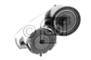 Napinacz Paska Wielorowkowego Ford Mondeo Iii Tran